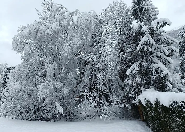 Le Carlton Apartment *